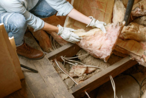 An image showing someone searching and checking for signs of bat infestation for the blog "Understanding Bats and the Regulations that Surround them"